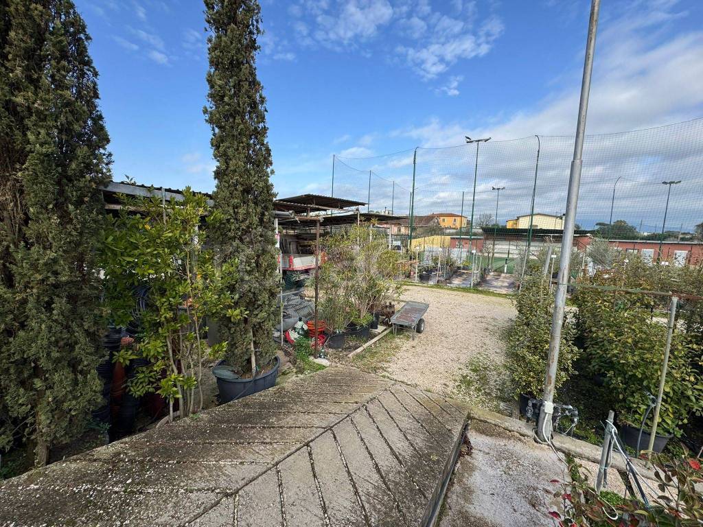 immagine annuncio 7 di 11