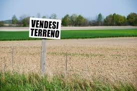 Terreno agricolo in vendita a san martino buon albergo 