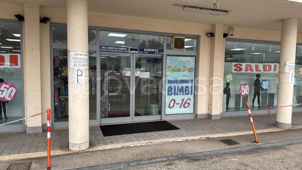immagine annuncio 3 di 11
