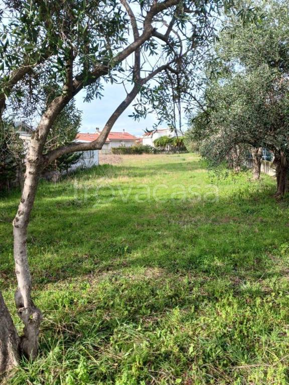 immagine annuncio 3 di 12
