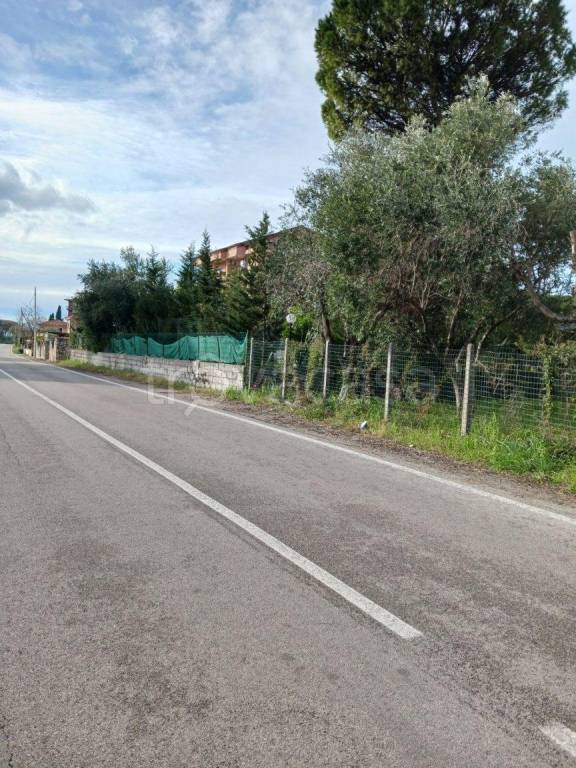 immagine annuncio 5 di 12