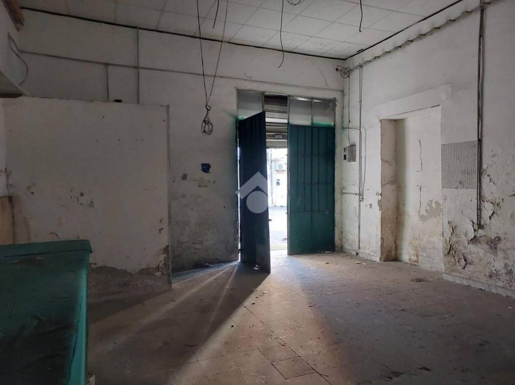 immagine annuncio 5 di 14