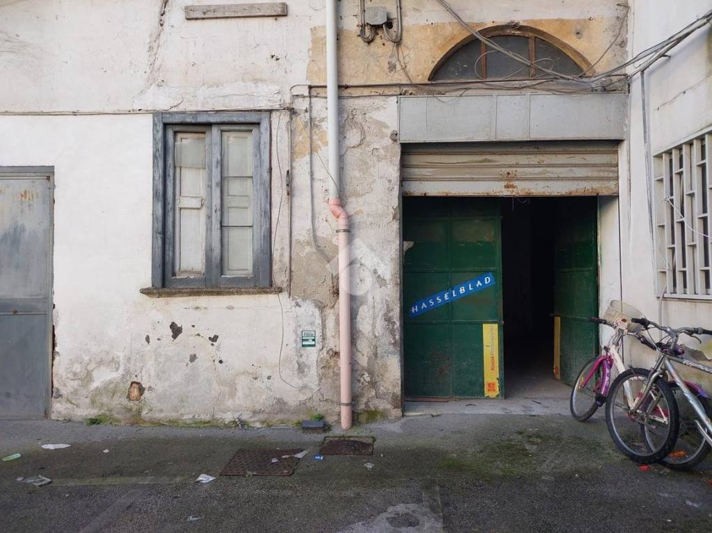 immagine annuncio 2 di 14