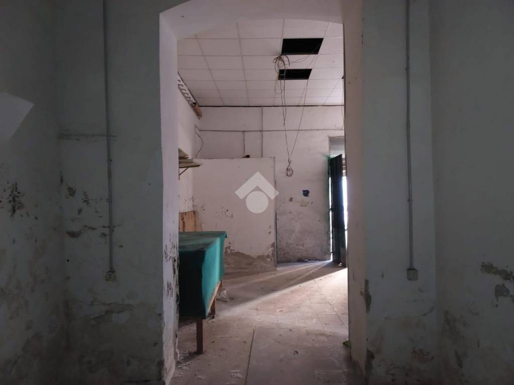 immagine annuncio 10 di 14