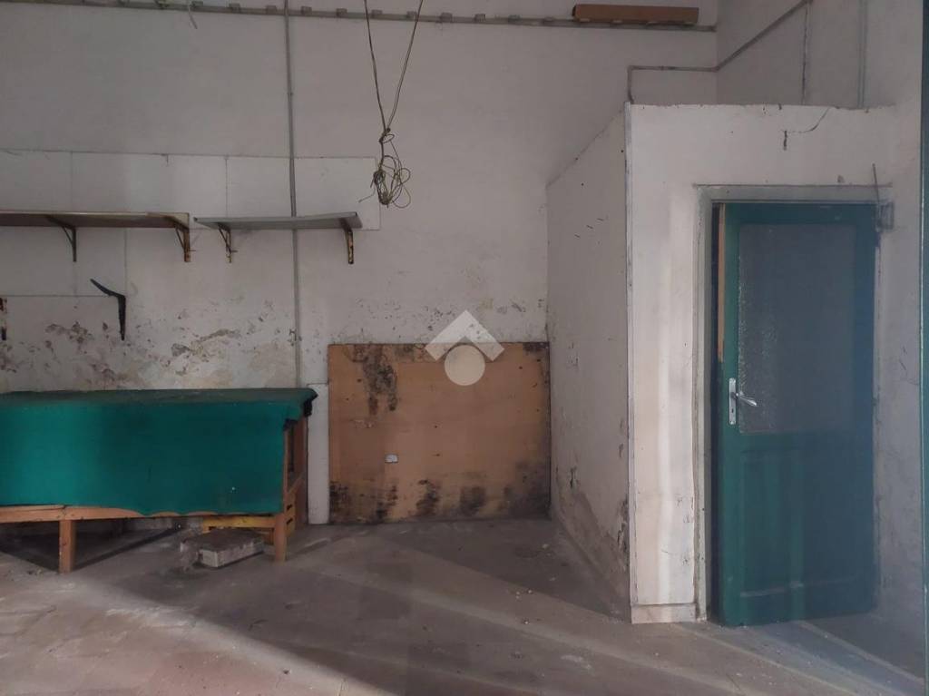 immagine annuncio 11 di 14