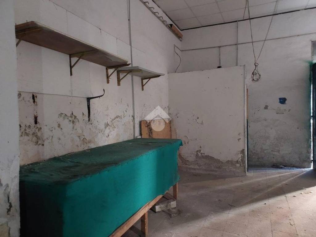 immagine annuncio 12 di 14