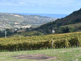 Terreno agricolo in vendita a montefiore dell'aso via roma s.n.c.