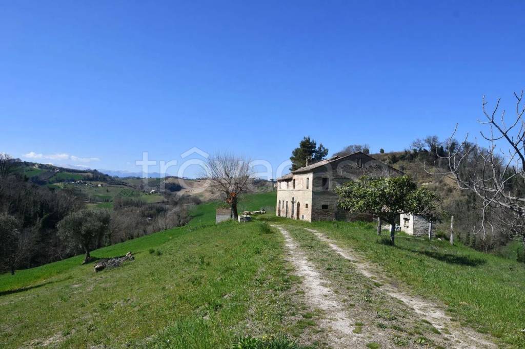 immagine annuncio 5 di 14