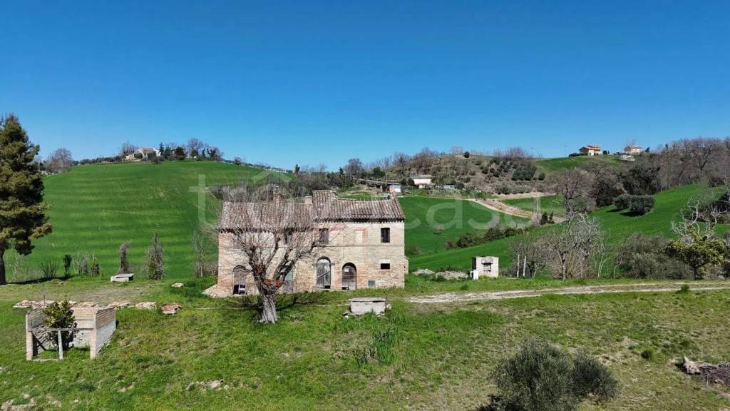 immagine annuncio 6 di 14