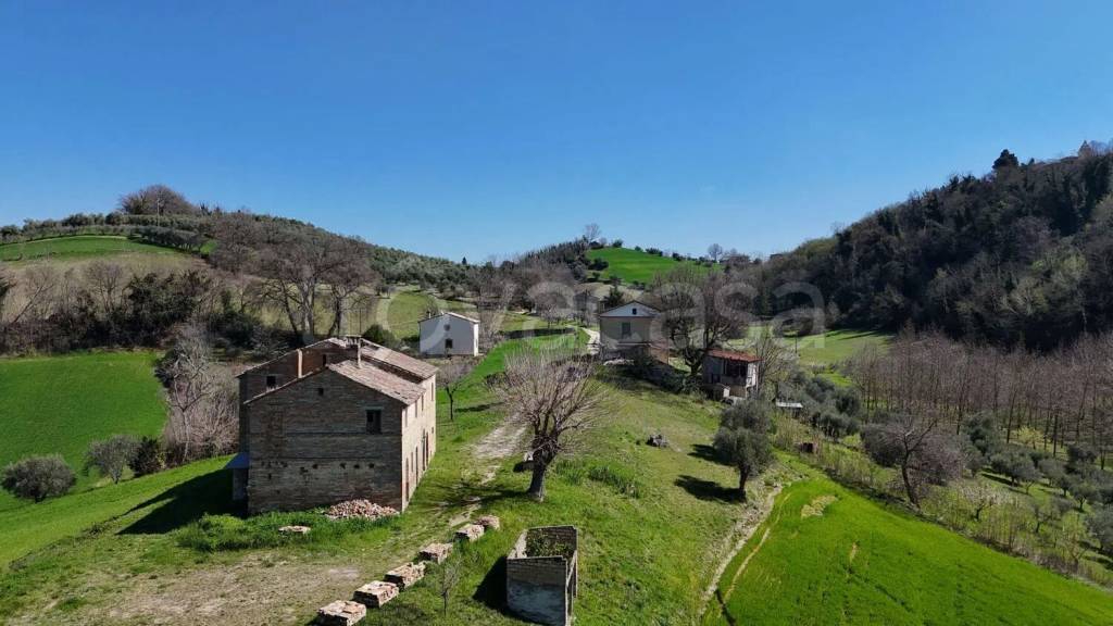 immagine annuncio 7 di 14