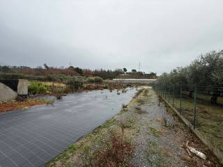 Terreno agricolo in vendita ad albenga vallà