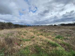 Terreno agricolo in vendita a san giuliano terme via di palazzetto gello, 56017 san giuliano terme pi, italia