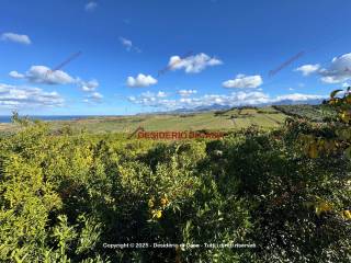 Terreno agricolo in vendita a termini imerese contrada quaranta salme