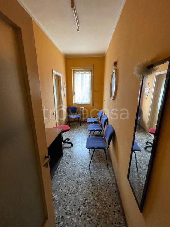 immagine annuncio 7 di 13