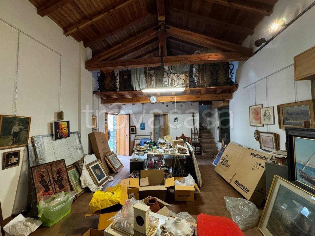 immagine annuncio 9 di 12
