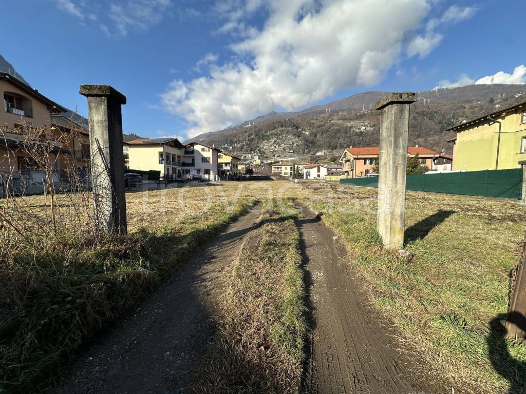immagine annuncio 1 di 11