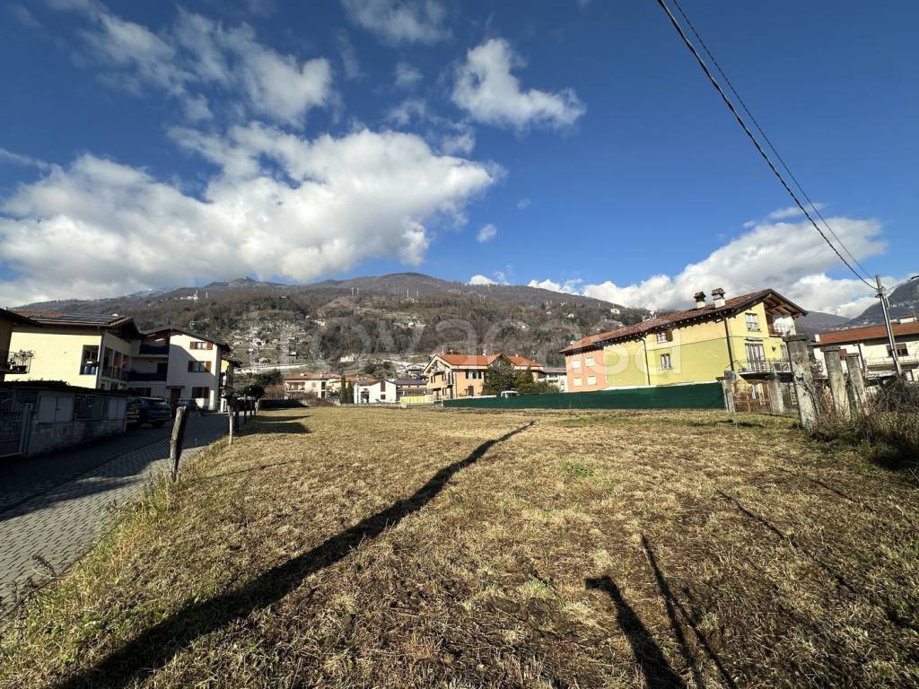 immagine annuncio 3 di 11