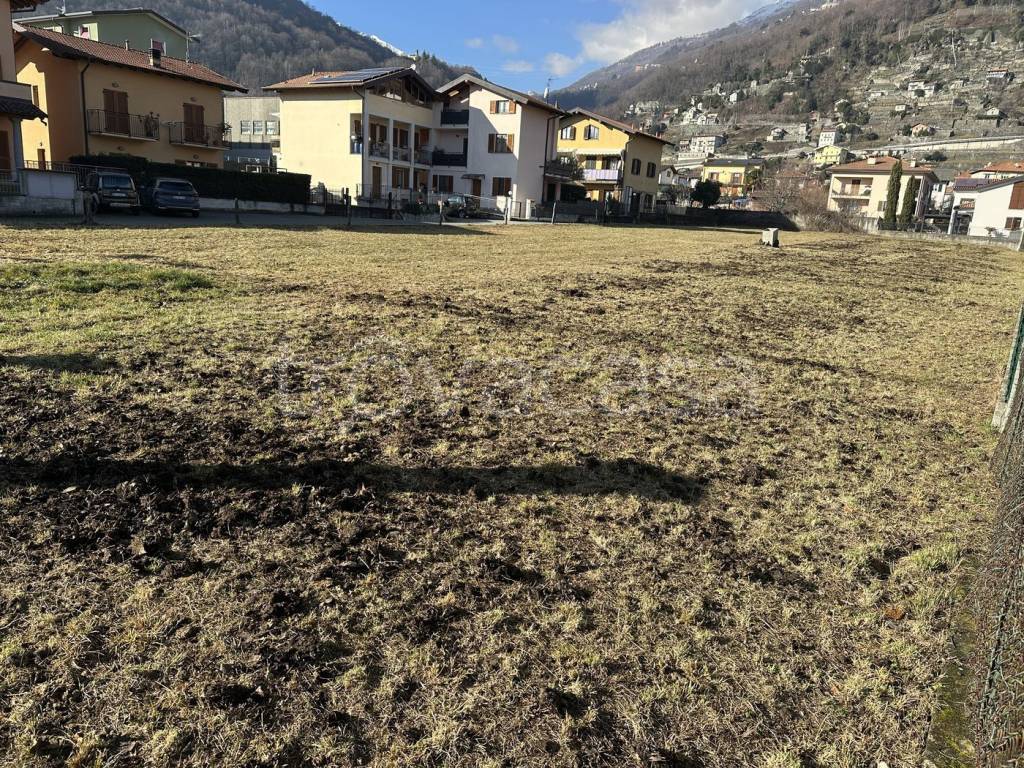 immagine annuncio 4 di 11