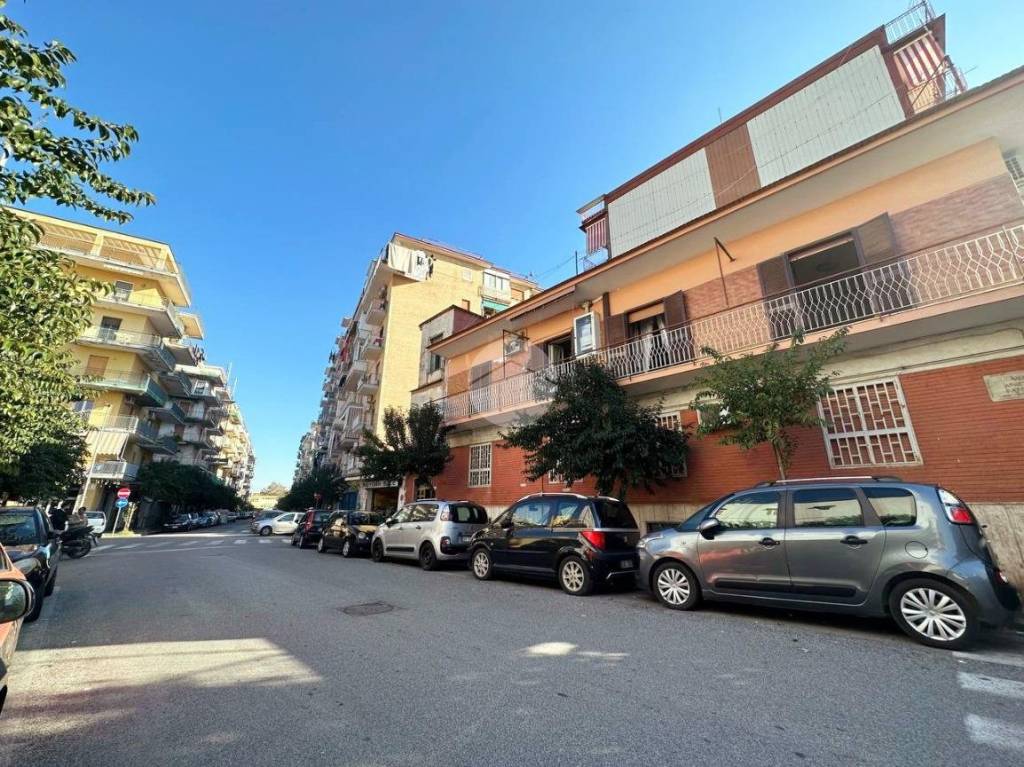 immagine annuncio 8 di 14