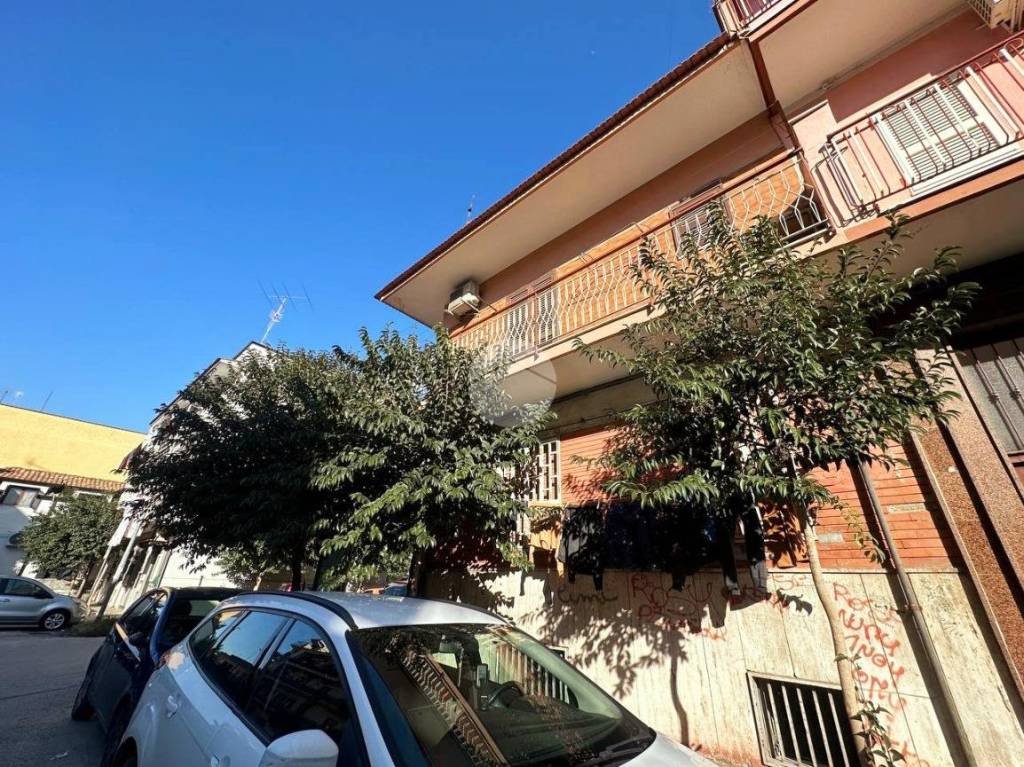 immagine annuncio 9 di 14