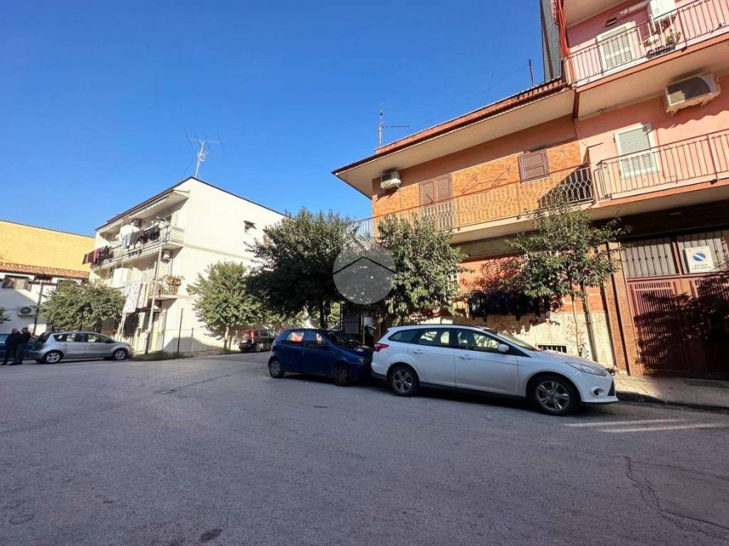 immagine annuncio 13 di 14