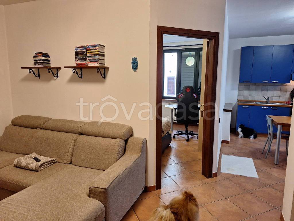 immagine annuncio 7 di 15