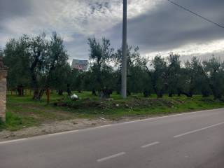 Terreno residenziale in vendita ad andria strada comunale san lizio