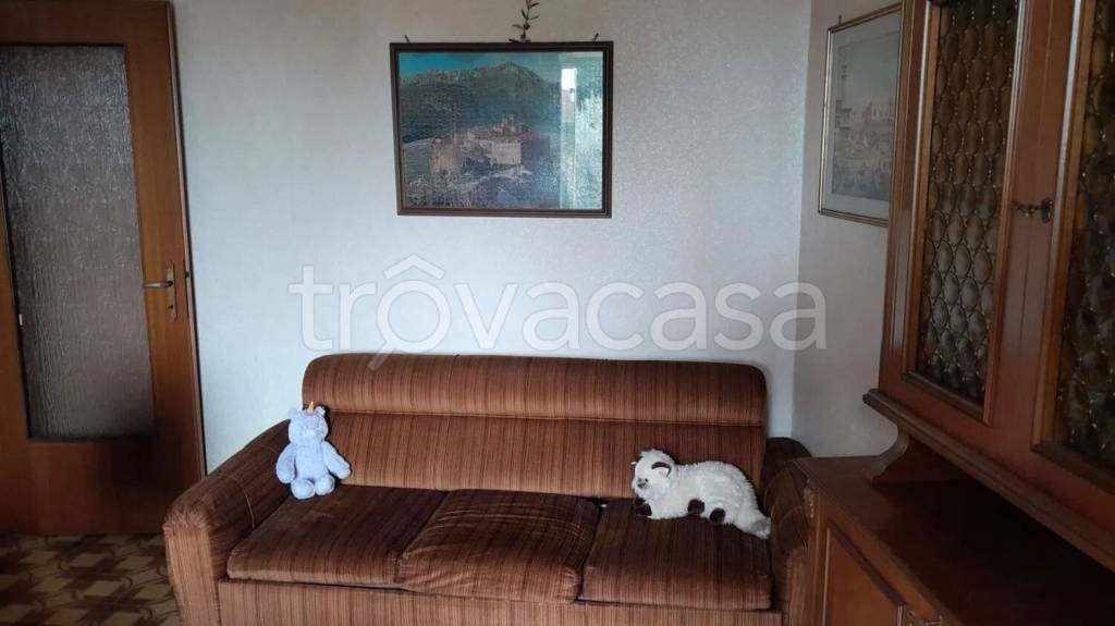immagine annuncio 5 di 7