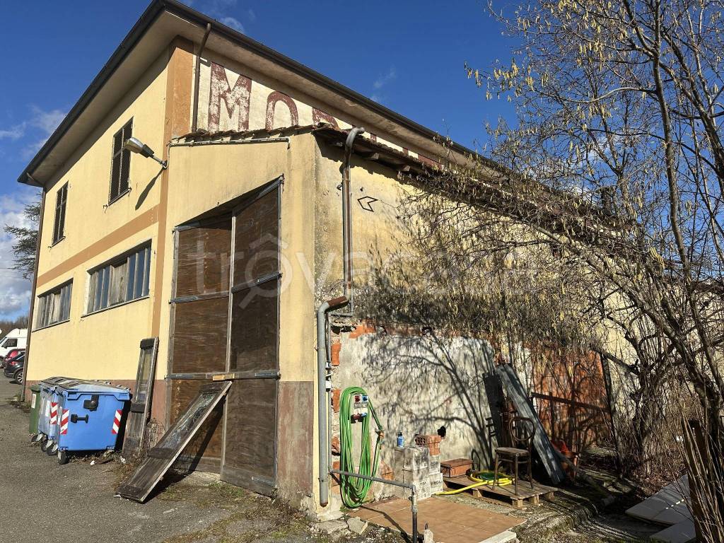 immagine annuncio 12 di 15