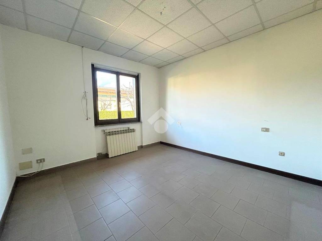 immagine annuncio 7 di 14