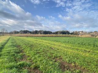 Terreno agricolo in vendita ad ardea via dei licheni