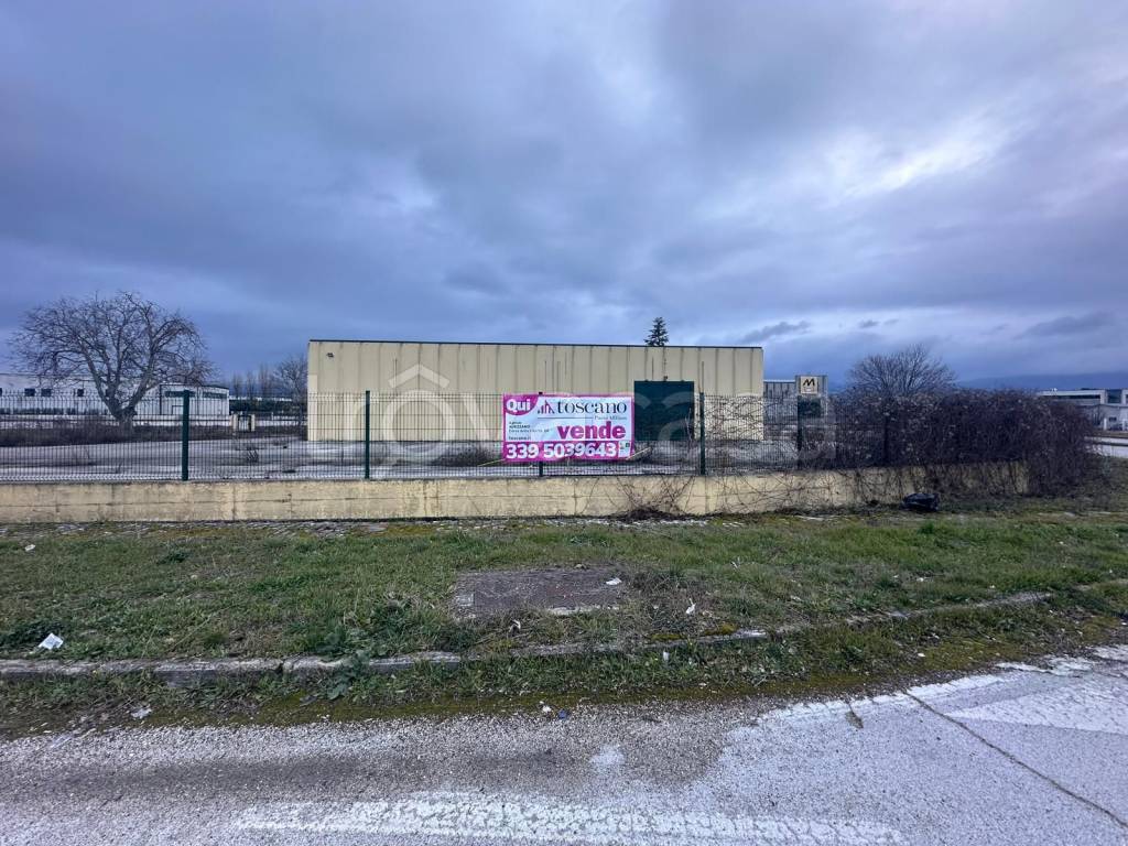 immagine annuncio 9 di 13
