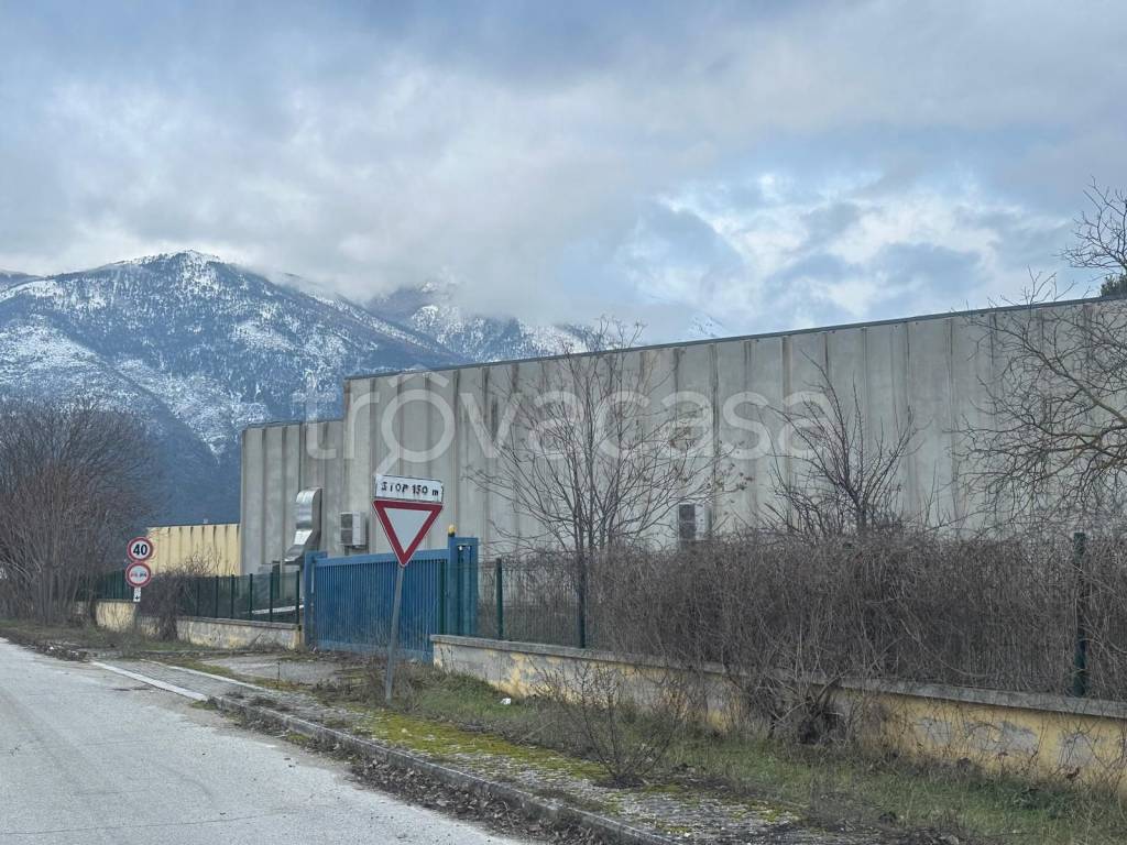 immagine annuncio 3 di 13