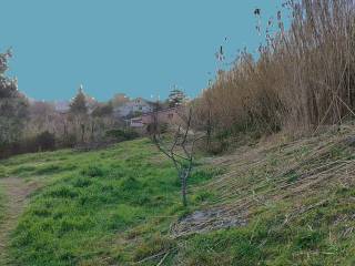 Terreno agricolo in vendita a livorno 