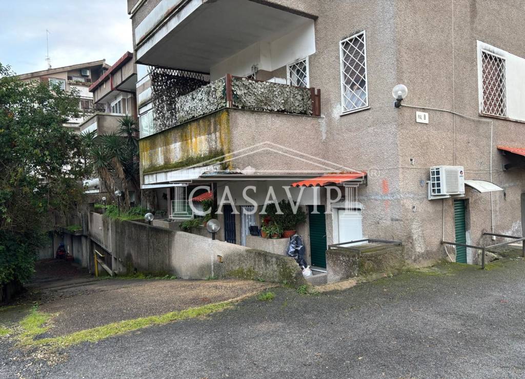 immagine annuncio 9 di 14