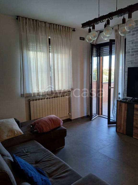 immagine annuncio 2 di 14