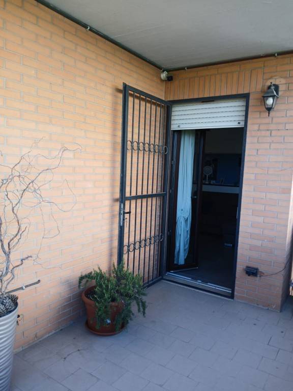 immagine annuncio 9 di 14