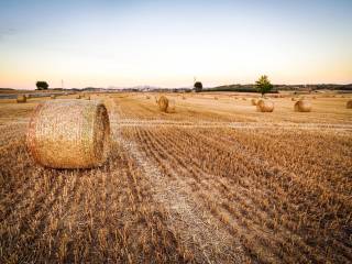 Terreno agricolo in vendita a ravenna via ravegnana