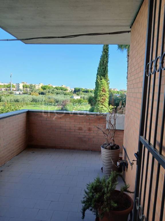 immagine annuncio 10 di 14