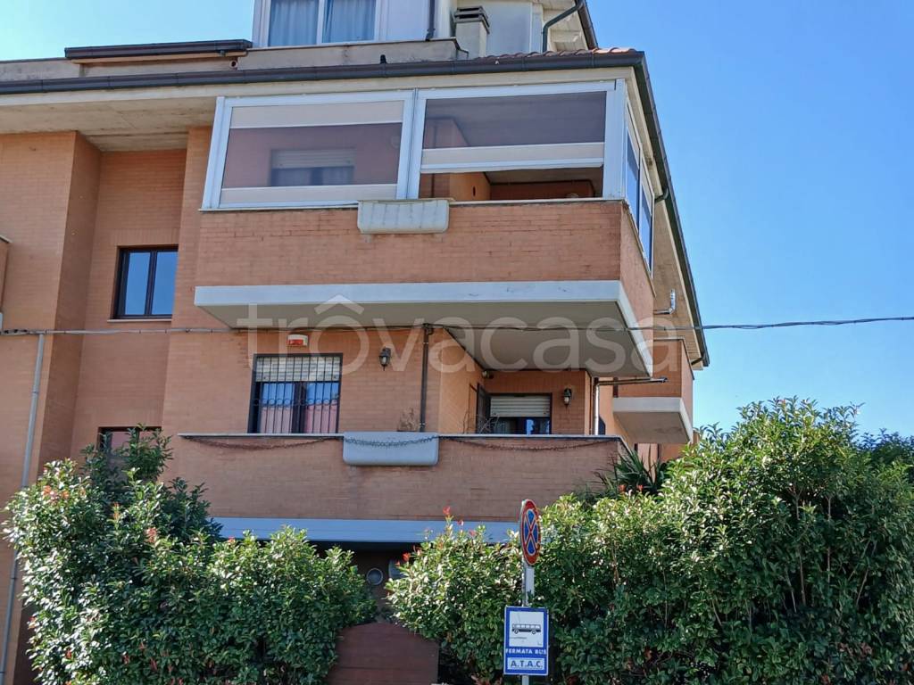 immagine annuncio 11 di 14