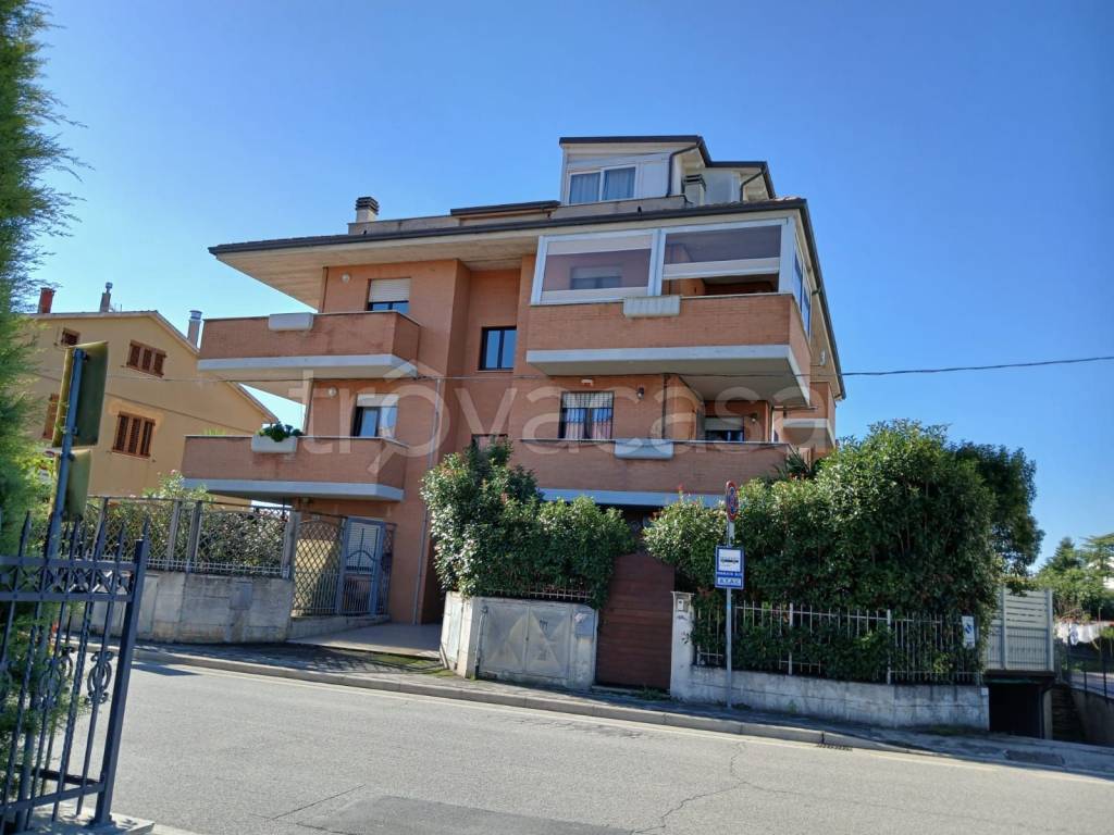 immagine annuncio 12 di 14