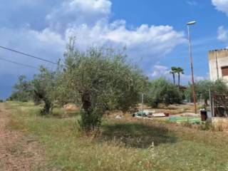 Terreno agricolo all'asta a mazzarrone viale del lavoro