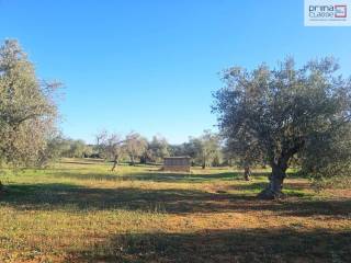 Terreno agricolo in vendita a vittoria contrada gerbe