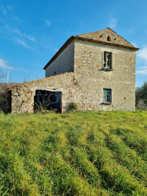 immagine annuncio 1 di 11