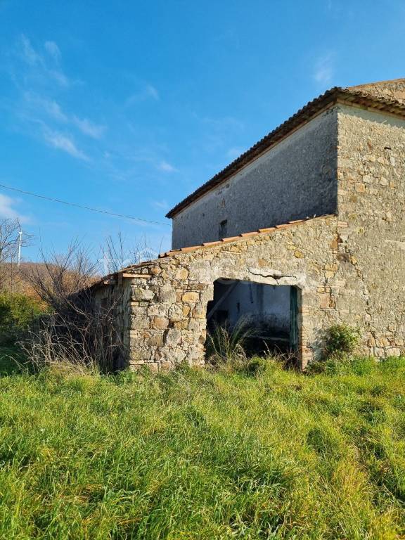 immagine annuncio 4 di 11