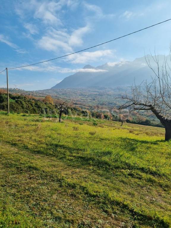 immagine annuncio 6 di 11