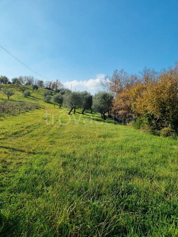 immagine annuncio 7 di 11