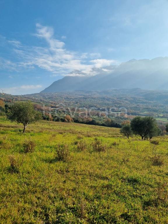 immagine annuncio 9 di 11