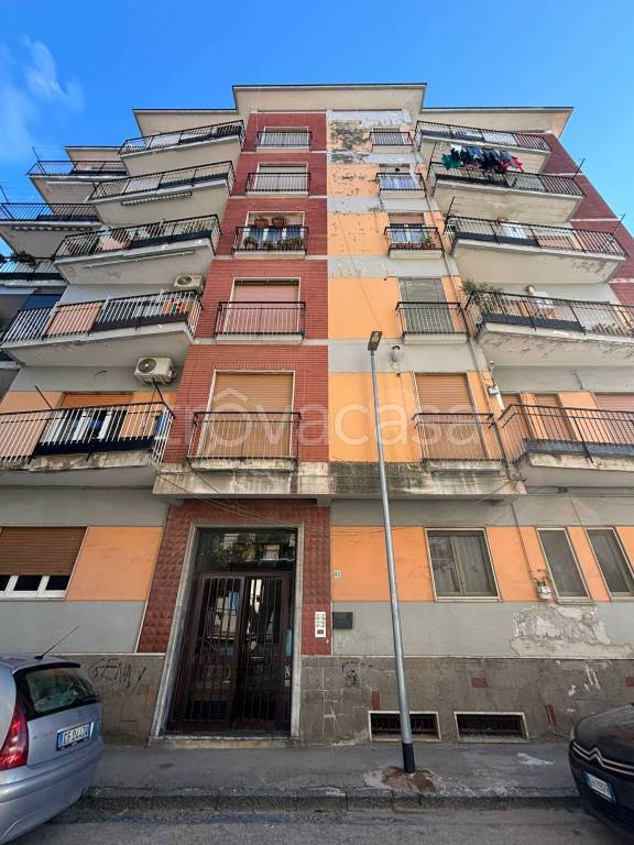 immagine annuncio 11 di 12