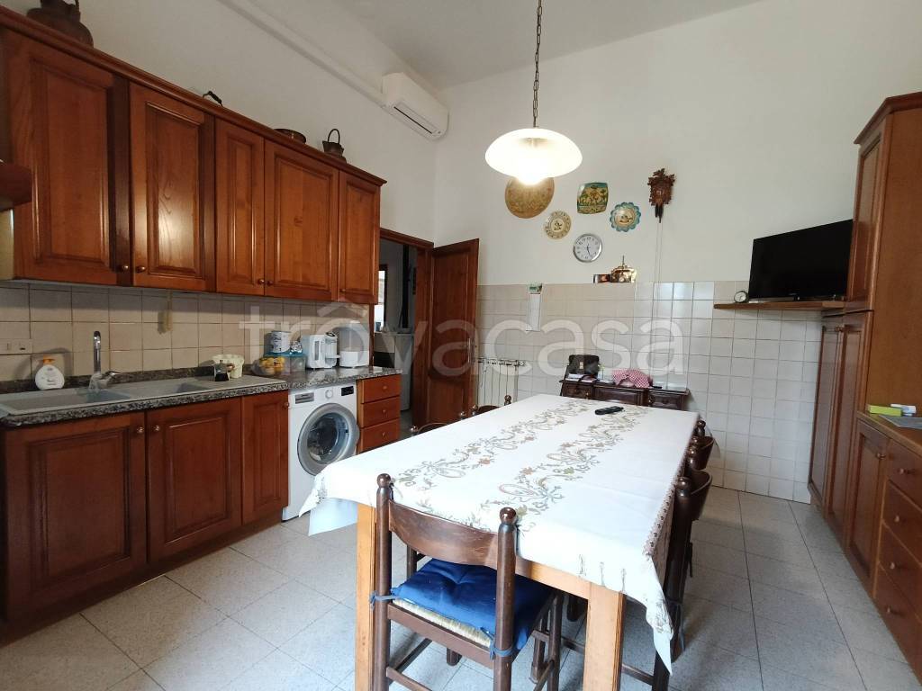 immagine annuncio 7 di 14